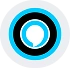 Voice Assistants (Alexa, Google Assistant)