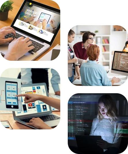 Business Website Development