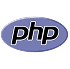 Vue.js Development