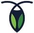 MongoDB    