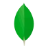 MongoDB     