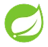 Spring Boot    