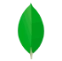 MongoDB    