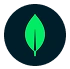 Logo: MongoDB