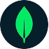 MongoDB