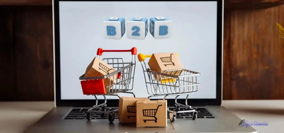 B2B Marketplace Development Services - Business to Business Platform