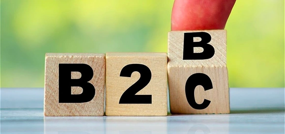 B2C Marketplace Development Services - Business to Consumer Platform