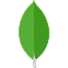 MongoDB