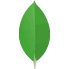 MongoDB 