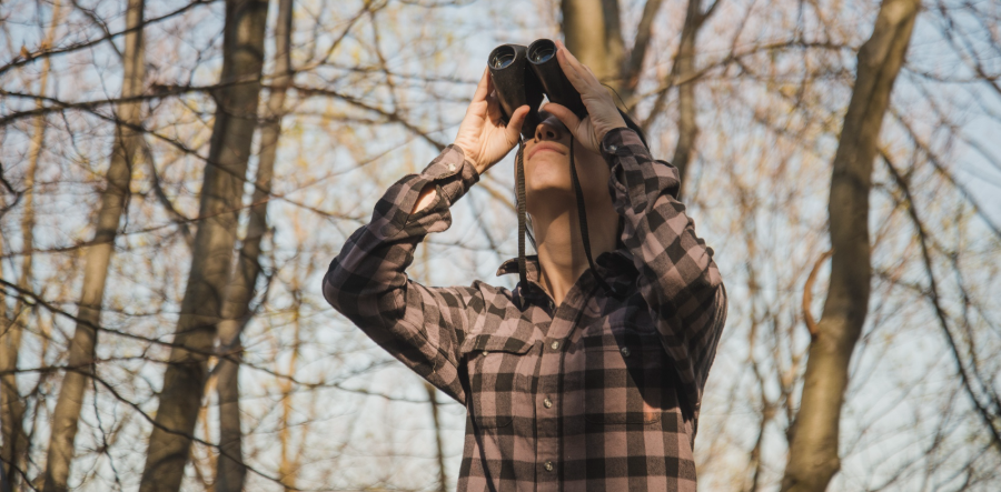 Top Apps for Birding