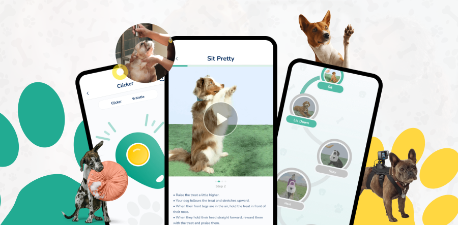 Top Apps for Dogs