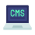 Hire CMS developers