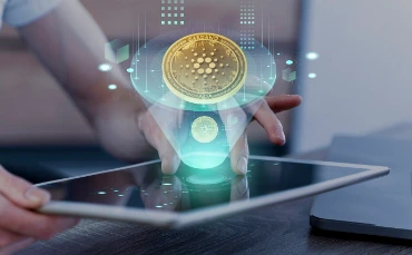 Finance & Accounting