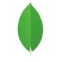 MongoDB