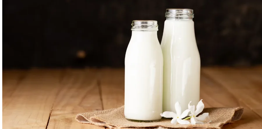 7 Best Milk Delivery App
