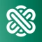 App Like Ask AI 
