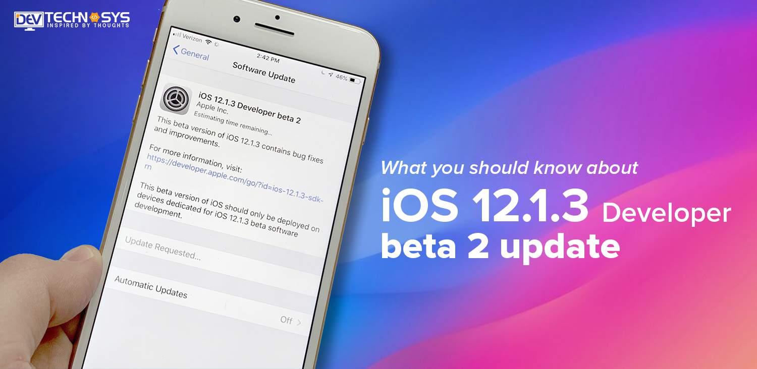 iOS developer beta update