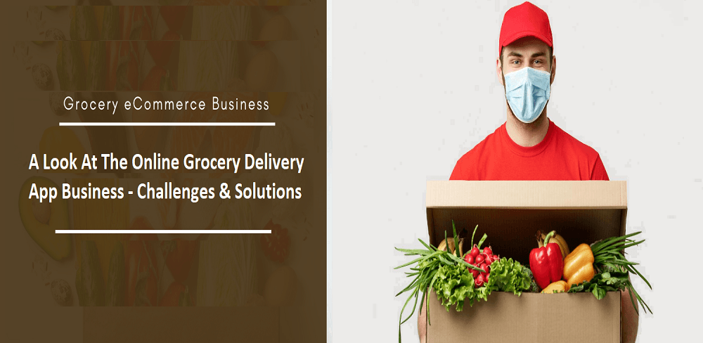 A Look At The Online Grocery Delivery App Business – Challenges & Solutions