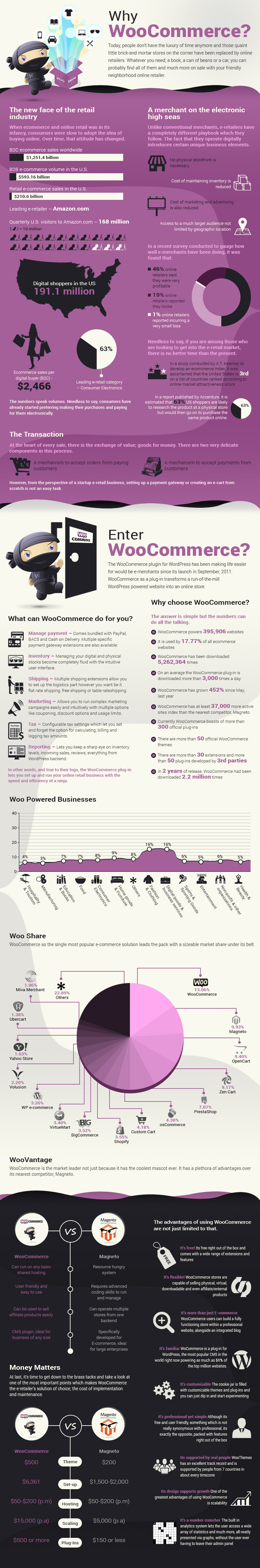 woocommerce infograph