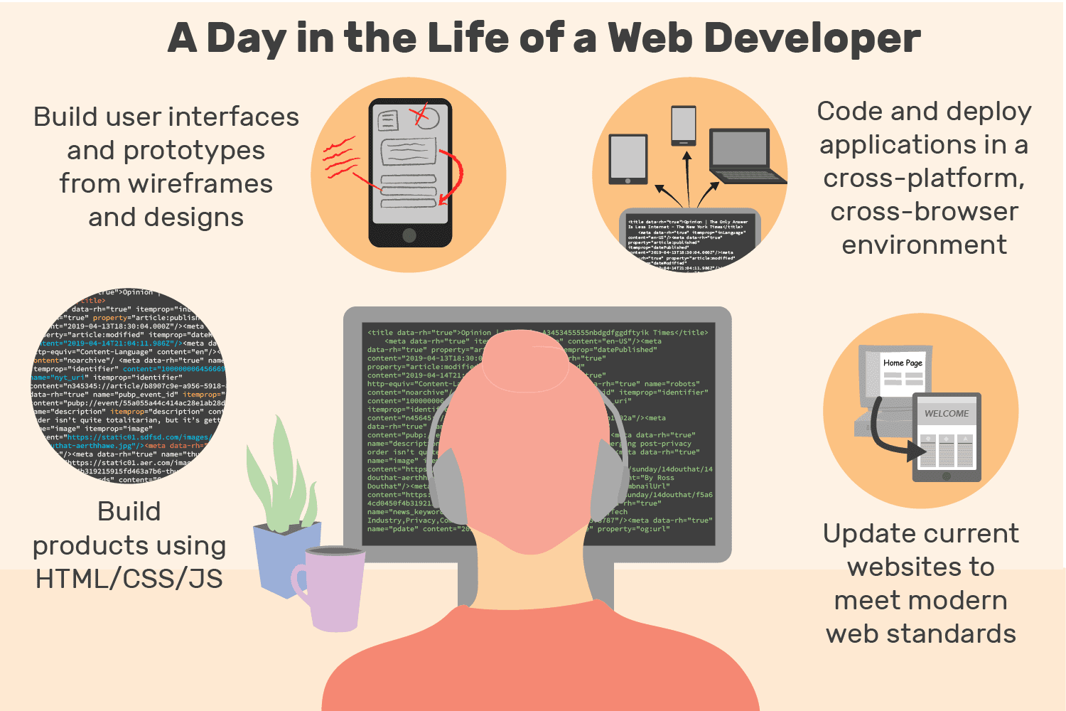 web developer