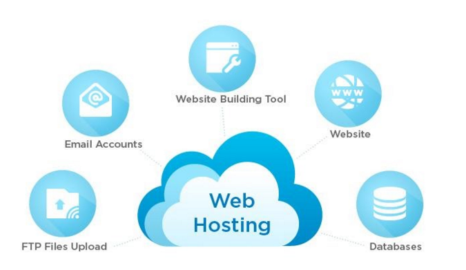 Website Hosting