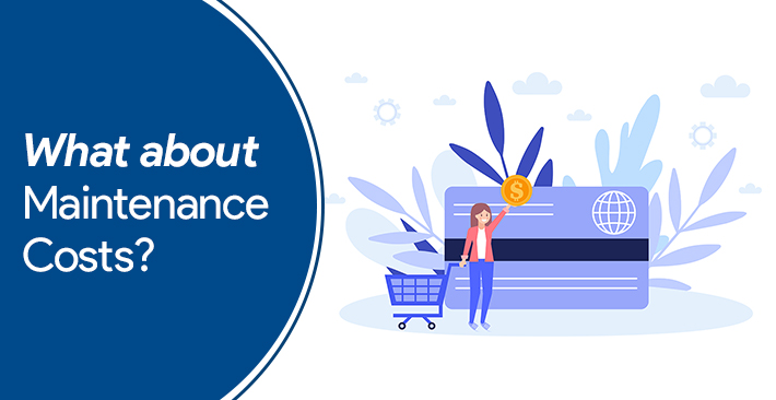 E-commerce Website Maintenance Cost