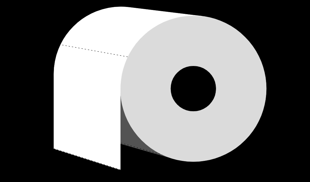 Paper Toilet