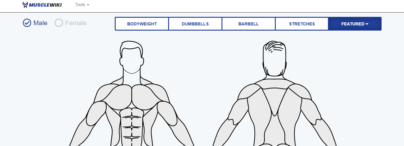 MuscleWIki