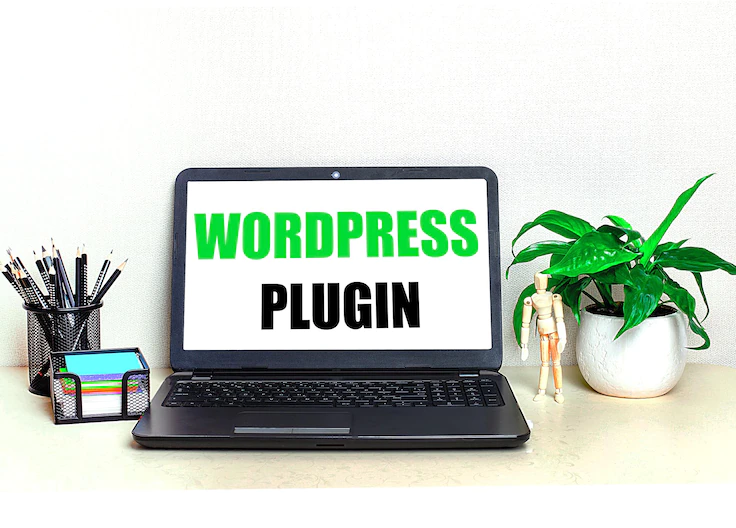 What is a WordPress Plugin?