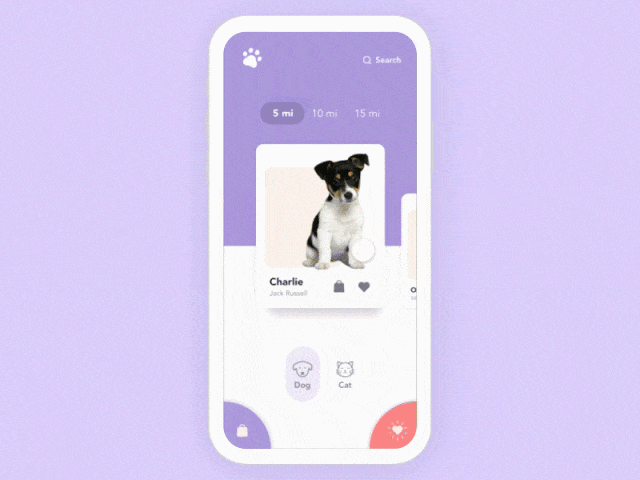 What is a Pet Partner Finder App?