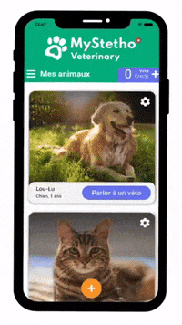 What is a Veterinary App