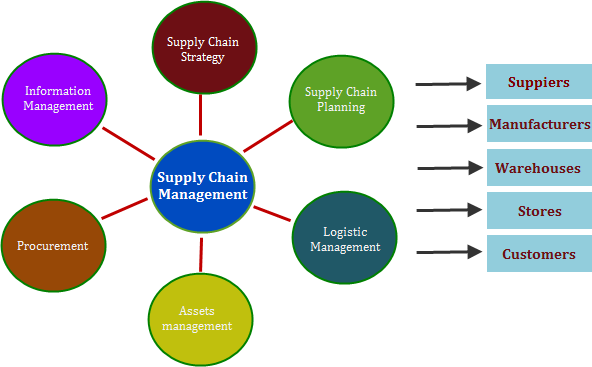 Features of Supply Chain Management Software