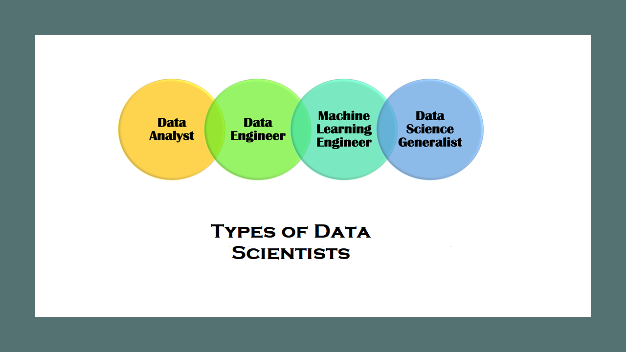 Types of Data Scientists