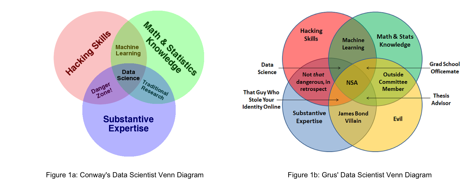 What is the Role of a Data Scientist?