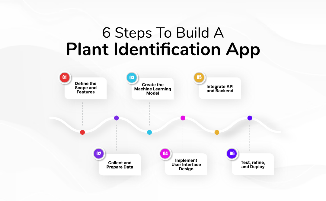 6 Steps To Build A Plant Identification App