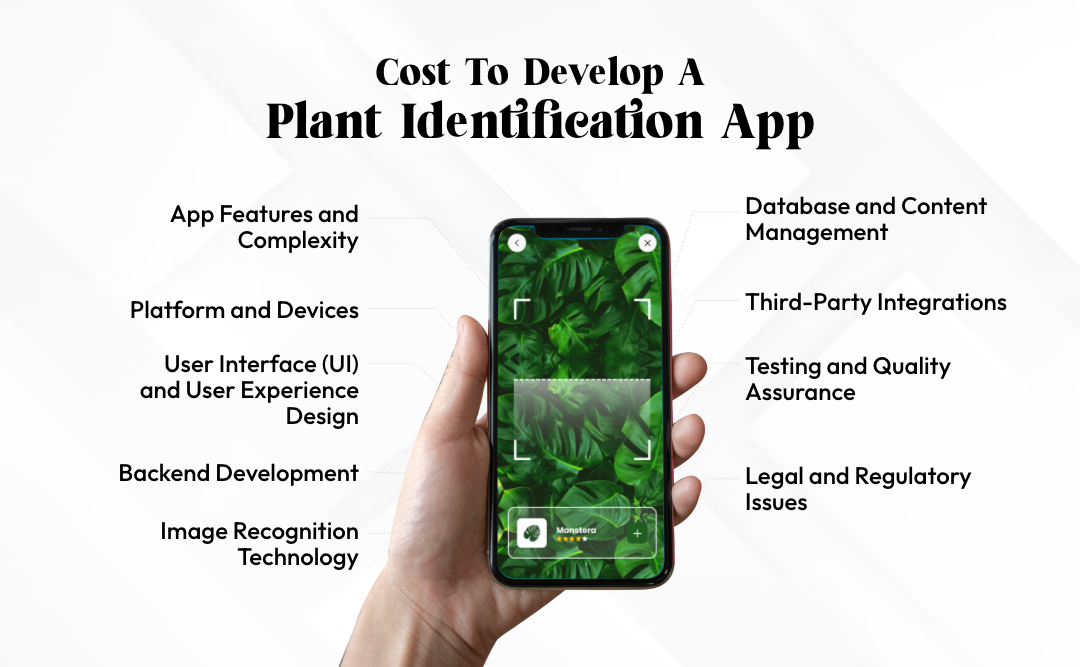 Cost to Develop A Plant Identification App