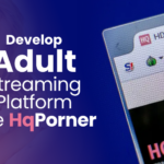 Steps to Develop an Adult Streaming Platform Like HqPorner