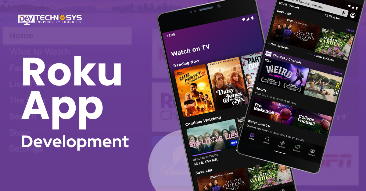 An Complete Guide On Roku App Development: Cost, Features