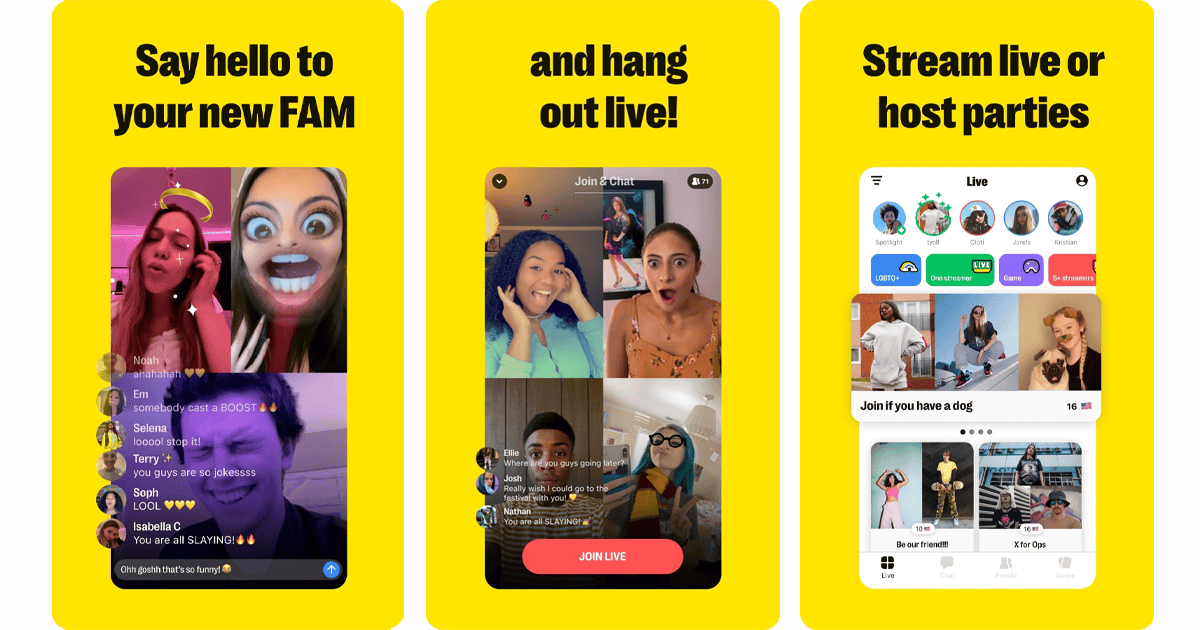 Omegle Alternatives