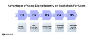 Blockchain For Digital Identity Verification : A Guide