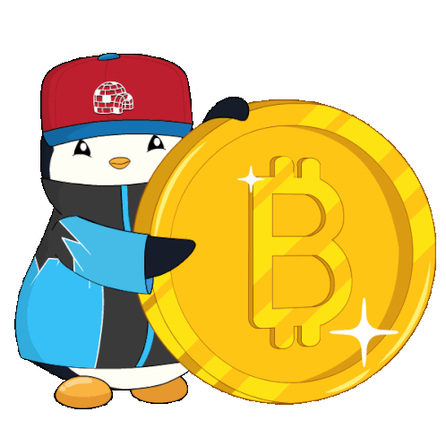 What is A Meme Coin