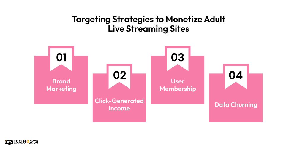 Targeting Strategies to Monetize Adult Live Streaming Sites