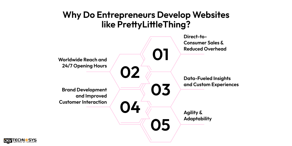 Why Do Entrepreneurs Develop Websites like PrettyLittleThing