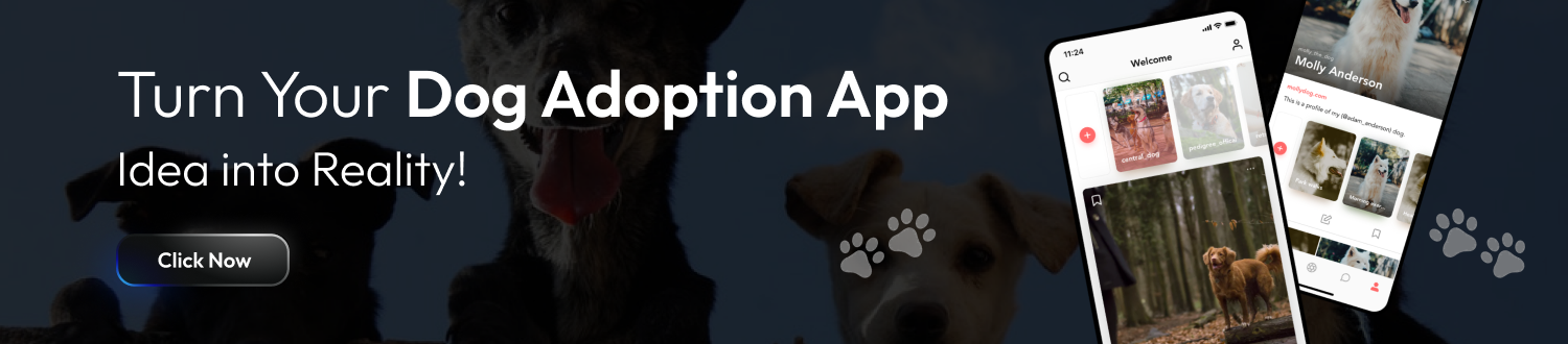 CTA Dog Adoption App Development