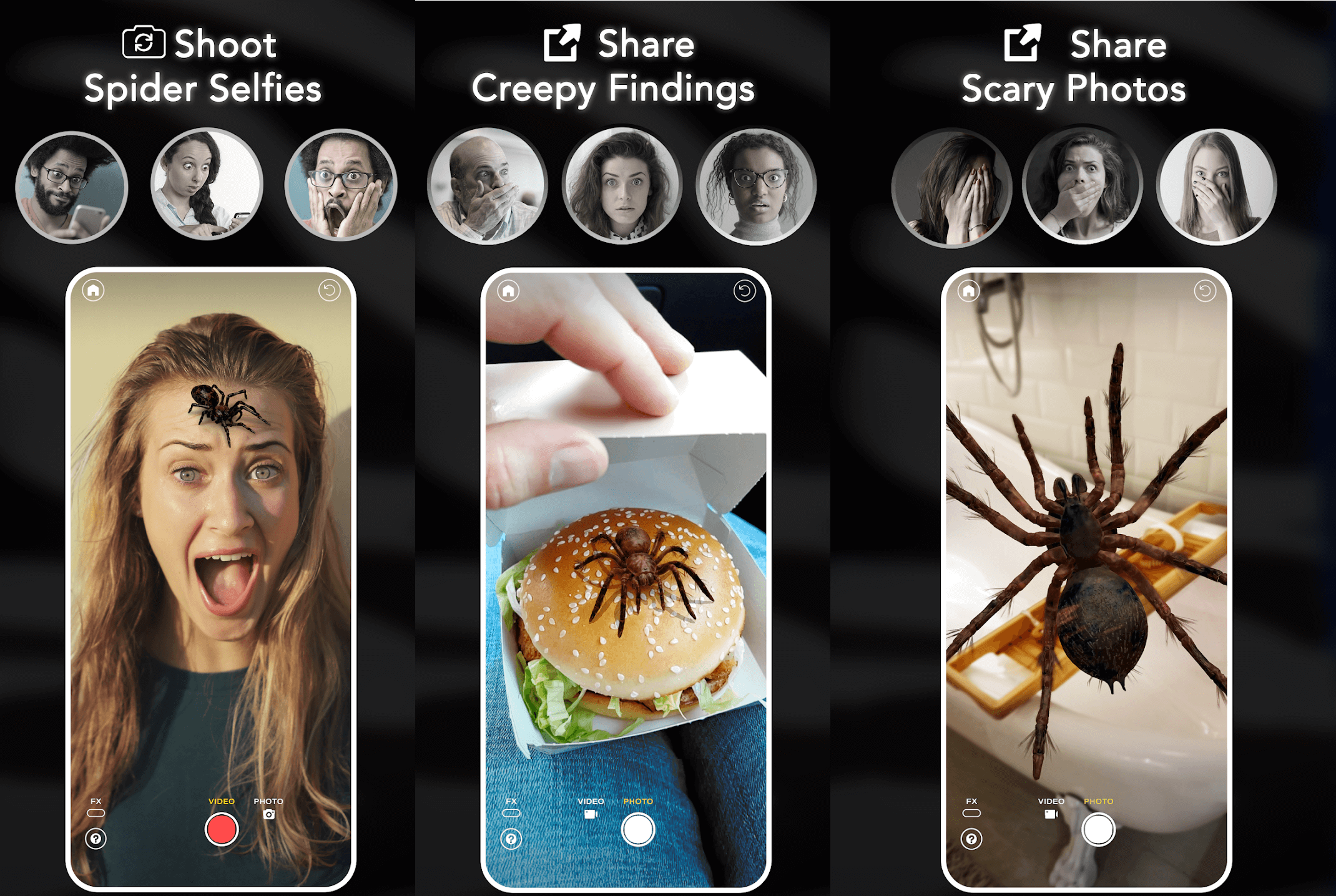 AR Spiders & Co Scare friends