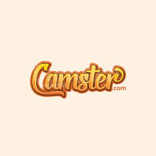 Camster Logo