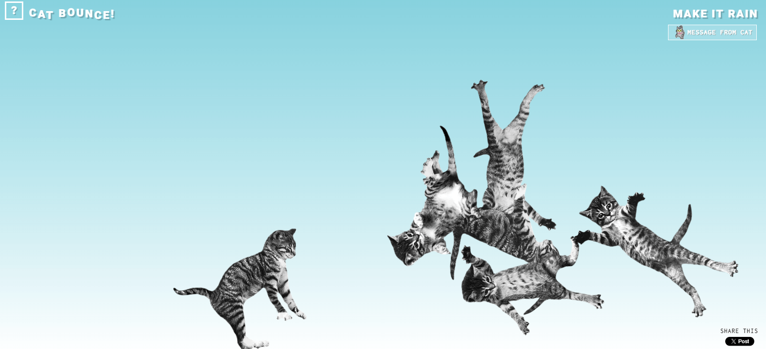 Cat Bounce
