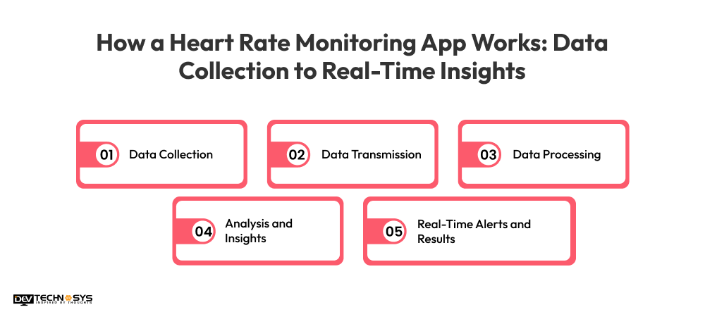 How a Heart Rate Monitoring App Works Data Collection to Real-Time Insights