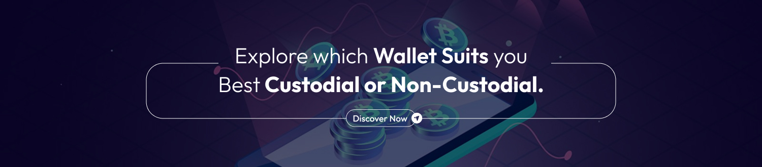 Custodial vs Non-Custodial Wallet CTA