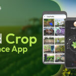 How to Build a Crop Insurance App
